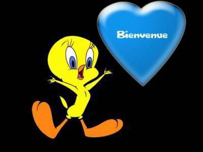 bienvenu sur mon blog !!